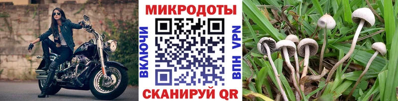 Галлюциногенные грибы мухоморы  Тула 